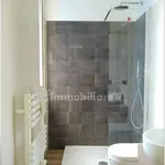 Rent 1 bedroom apartment of 35 m² in Milano