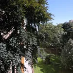 Rent 2 bedroom apartment of 55 m² in Prague