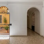 Rent 4 bedroom apartment of 55 m² in Bologna