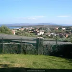 Rent 1 bedroom apartment of 60 m² in Olbia