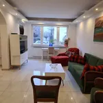 Rent 1 bedroom apartment of 62 m² in berlin