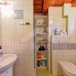 Rent 1 bedroom house in Žár u Nových Hradů