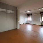 Affitto 3 camera appartamento di 220 m² in Mantova