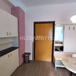 Rent 1 bedroom apartment of 33 m² in Capital City of Prague