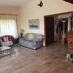 Rent 2 bedroom apartment of 156 m² in Νησί