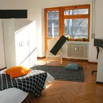 Rent a room in turin