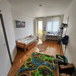 Rent 4 bedroom apartment in Ostrava