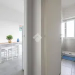 Rent 2 bedroom apartment of 40 m² in Cagliari