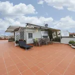 Rent 1 bedroom apartment in florence