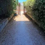 Rent 3 bedroom apartment of 80 m² in Palermo