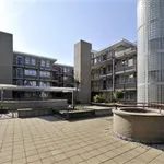 Rent 2 bedroom apartment of 77 m² in Valkenswaard