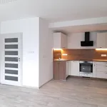 Pronajměte si 2 ložnic/e byt o rozloze 52 m² v České Budějovice