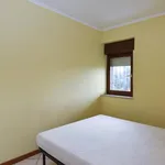 Rent 1 bedroom apartment in Rome