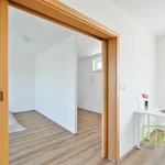 Pronajměte si 2 ložnic/e byt o rozloze 60 m² v Prague