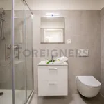 Rent 1 bedroom apartment of 46 m² in Brno