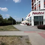 Pronajměte si 2 ložnic/e byt o rozloze 54 m² v Prague