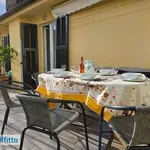 Rent 3 bedroom apartment of 60 m² in Genoa