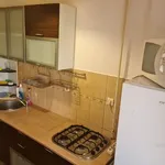 Rent 1 bedroom apartment of 35 m² in Timișoara