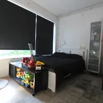 Huur 3 slaapkamer appartement van 80 m² in Amsterdam