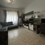 Rent 3 bedroom apartment of 120 m² in Roma