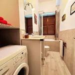 Rent 5 bedroom apartment of 120 m² in Roma