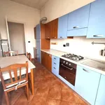 Rent 3 bedroom apartment of 85 m² in Torino