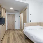 Rent 1 bedroom apartment in madrid