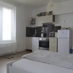 Rent 1 bedroom apartment in  Stodůlky                        					