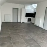 Rent 1 bedroom apartment in Le Rœulx