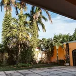 Rent 3 bedroom house of 526 m² in Mérida