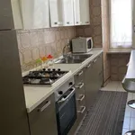 Rent 1 bedroom apartment of 45 m² in turin