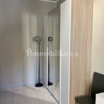 Rent 3 bedroom apartment of 45 m² in Turin