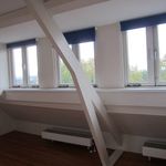 Rent 2 bedroom apartment of 35 m² in Klarendal-Noord