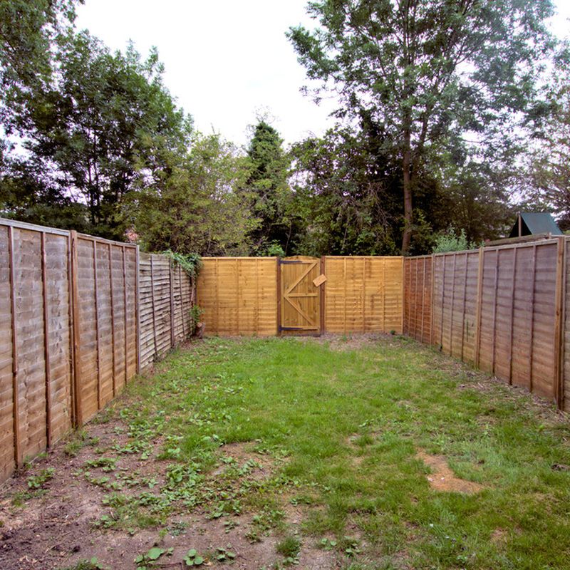 limetree close, cambridge