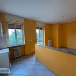 Rent 2 bedroom apartment of 42 m² in Vigevano