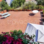 Rent 3 bedroom house of 60 m² in Celle Ligure