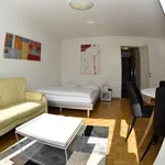 Miete 1 Schlafzimmer wohnung von 35 m² in Zürich