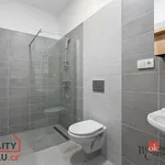 Rent 1 bedroom apartment in Plzeň