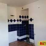 Rent 1 bedroom apartment in Blansko