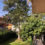 Rent 4 bedroom apartment of 120 m² in Grottaferrata