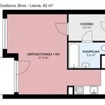 Rent 1 bedroom apartment of 42 m² in Brno