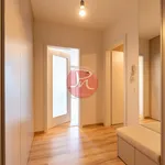 Rent 1 bedroom apartment in Ostrava