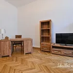 Rent 4 bedroom apartment of 135 m² in Brno