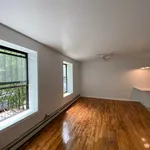 Rent 1 bedroom apartment of 62 m² in NY