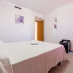 Rent 2 bedroom apartment in valencia