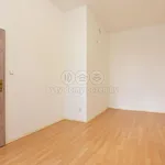 Rent 1 bedroom apartment of 31 m² in Liberec