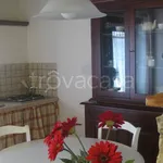 Rent 2 bedroom apartment of 42 m² in Sassetta