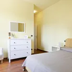 Rent 2 bedroom apartment in Florence