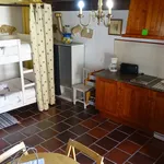 Rent 1 bedroom apartment of 40 m² in Salir de Matos