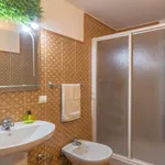 Alquilo 1 dormitorio apartamento de 49 m² en Seville